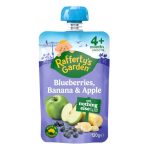 Rafferty’s Garden Blueberries, Banana & Apple (4m+) 120g